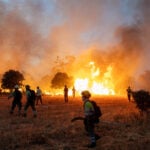 France, Spain and Greece battle wildfires as Europe swelters