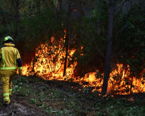 France, Spain and Greece battle wildfires as Europe swelters