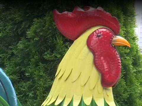 Rooster statues take on autism awareness meaning in Ogunquit following dispute with town