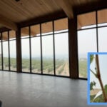 New winery uses solar power and innovative technology to build a more sustainable future