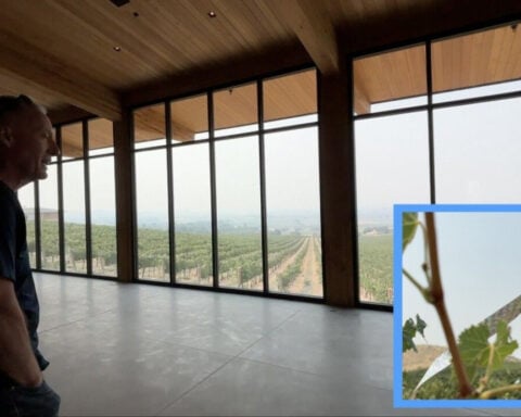 New winery uses solar power and innovative technology to build a more sustainable future