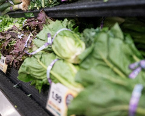 Acting US FDA chief urges confidence in lettuce as agency updates produce safety guidance