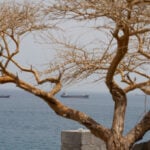Hormuz shipping traffic falls to one-week low amid hostilities