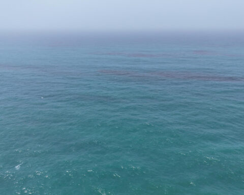 Huge oil slick hitting Oman's shoreline as agencies warn of disaster