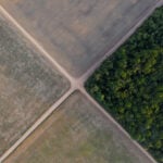 Brazil Supreme Court upholds laws that led to downfall of Amazon soy moratorium