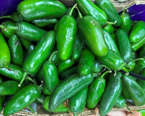 Whole Foods recalls items containing jalapenos on potential salmonella contamination