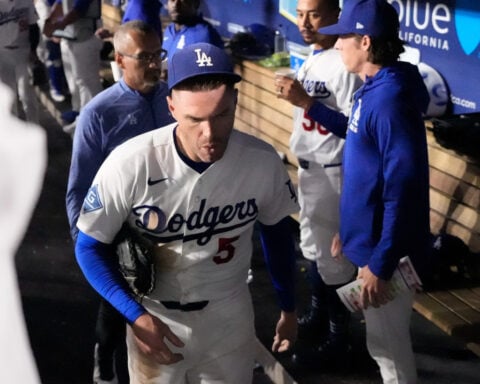 Dodgers' Freddie Freeman somehow avoids serious injury in frightening fall into visitors' dugout