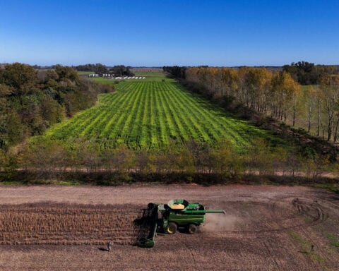 How will Latin America's super El Niño affect the top food-exporting region?