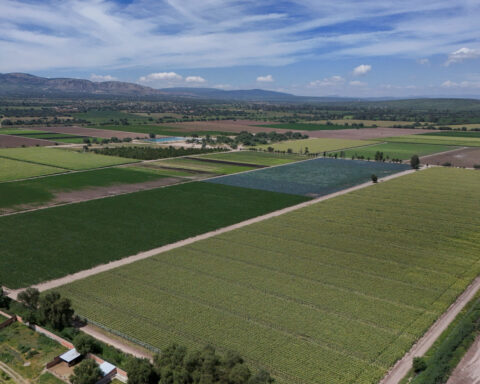Taylor Farms outbreaks show limits of US ability to safeguard produce from Mexico