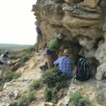 Ancient forests took 100,000 years to recover from the last global warming period similar to today – Wyoming fossils reveal what happened