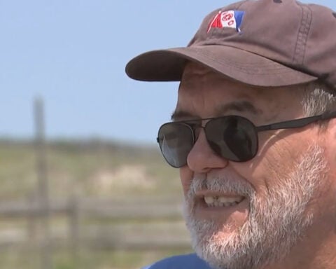 Nearly 30 dead sharks found on Sea Isle City beach. An expert says this may have been how they washed ashore.