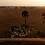 Soaring fertilizer prices dim Brazilian farmers' edge over US rivals