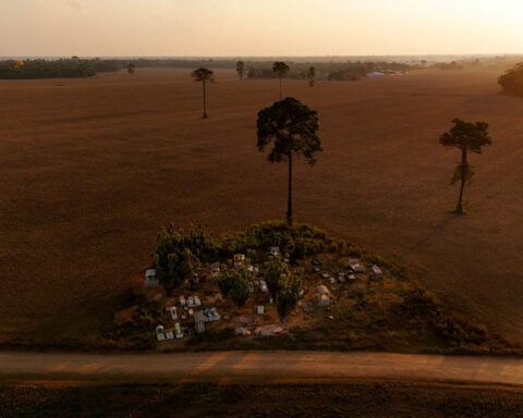 Soaring fertilizer prices dim Brazilian farmers' edge over US rivals