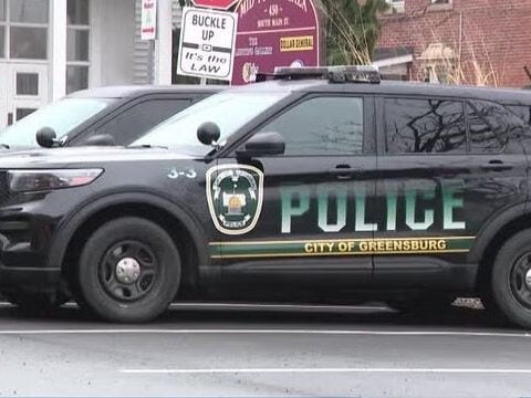 Animal cruelty charges filed after parakeet fed marijuana, beer