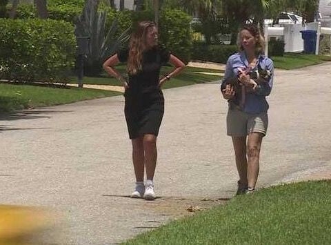 'It was like an ambush': Two women report being assaulted while walking their dogs