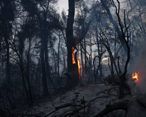 Tourists flee as Greek wildfire hits resort; Croatia also fights blaze