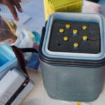 Mpox still a health emergency, says WHO