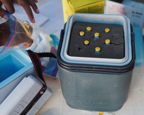 Mpox still a health emergency, says WHO