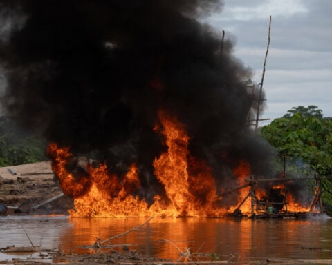 Peru steps up fight against illegal gold mining as activity enters protected Amazon reserve