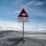 Person fined $5,000 for using foghorn to disturb sleeping polar bear