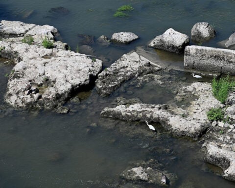 Low water in Rome’s drought-hit Tiber river exposes ancient ruins of Nero’s Bridge