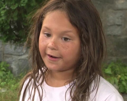 Fox attacks 6-year-old girl, woman in Worcester neighborhood