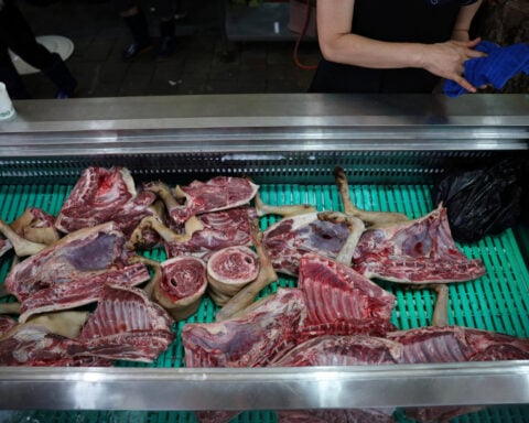 In South Korea, some savour last season of legal dog meat
