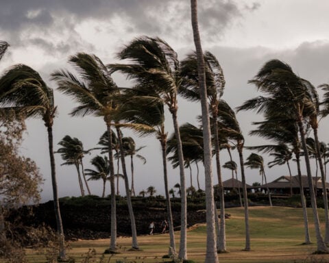 Lala strengthens into a hurricane and bears down on Hawaii’s Big Island with heavy rain, winds