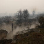 Belgium's biggest wildfire on record heads towards Germany