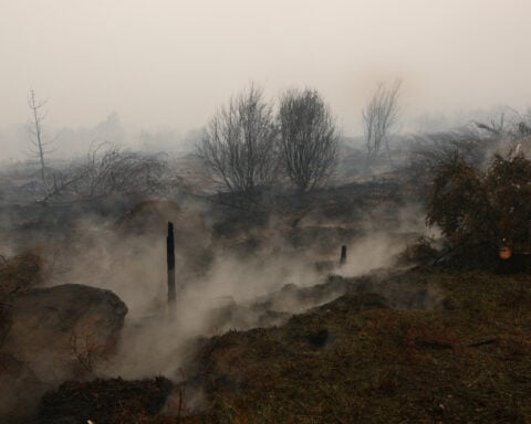 Belgium's biggest wildfire on record heads towards Germany