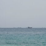 Shipping slows through Strait of Hormuz after tanker attacks, data shows