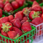 Americans could soon pay a lot more for strawberries