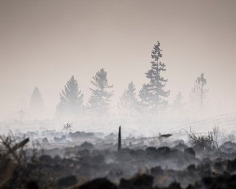 Belgian wildfire approaches Germany as Greece probes deadly blaze