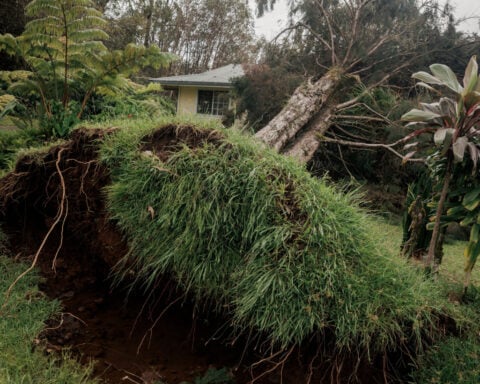 Muddy cleanup ahead as Tropical Storm Lala moves west of Hawaii