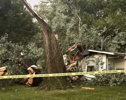 'Somebody was watching over us': Tree splits Valley Station home in two