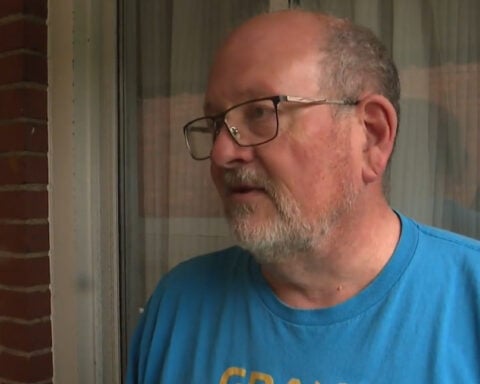 Bethel Park police seek suspect after kittens thrown from car: "It was horrific"
