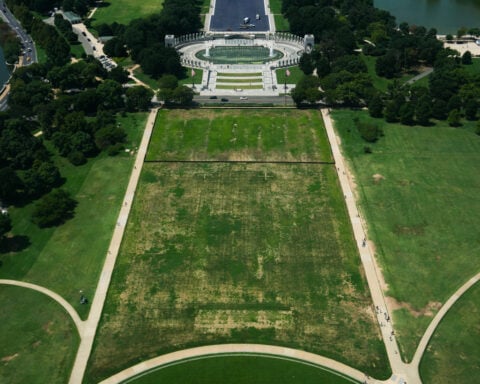 Trump blames vandals for damaged grass in the spot where he held his big July 4 celebration