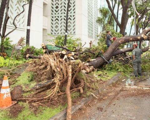 At least one dead, tens of thousands without power and over 100 homes damaged in wake of Hurricane Lala in Hawaii