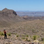 US pauses border construction in Big Bend National Park after widespread criticism