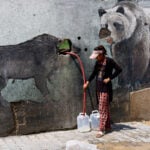 At a Gaza zoo, war takes its toll on the animals