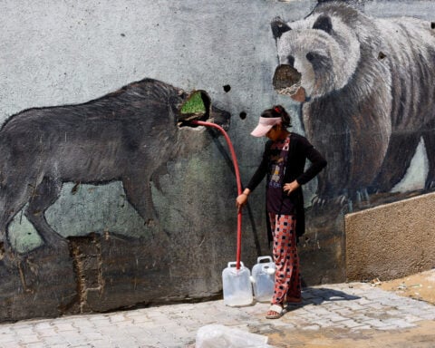 At a Gaza zoo, war takes its toll on the animals