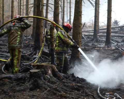 Rain aids fight against Belgium's biggest wildfire, as blazes rip through Europe