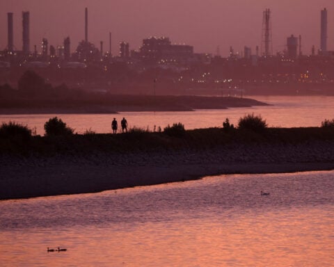 German investor morale improves more than expected in August, ZEW finds