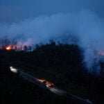 Indonesia wildfires damage nearly 95,000 hectares of land in July alone, minister says