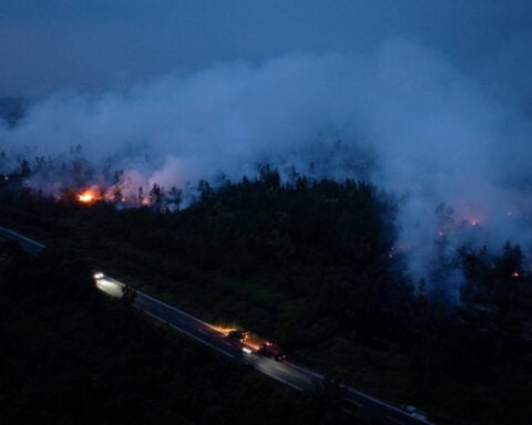 Indonesia wildfires damage nearly 95,000 hectares of land in July alone, minister says