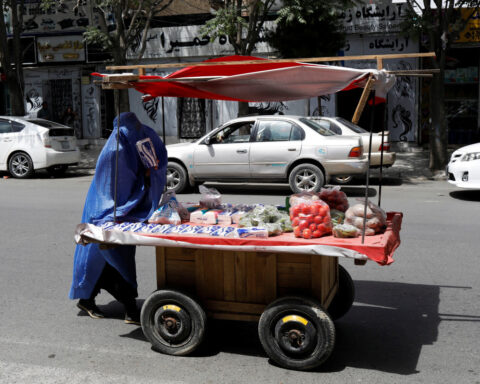 Women's share of Afghan labour market shrinks to 5% under Taliban, UN says