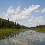 Minnesota governor signs order to stop any mining efforts in Boundary Waters wilderness