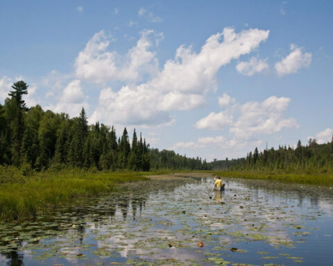 Minnesota governor signs order to slow down any mining efforts near Boundary Waters wilderness