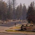 Trump administration moves to rescind rule that protects millions of forest acres