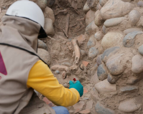 Archaeologists unveil skeletal remains believed to be ritual offering in Peru